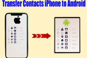 Can You Transfer Contacts From iPhone to Android?